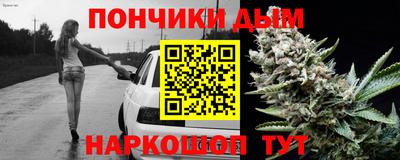 шишки Будённовск