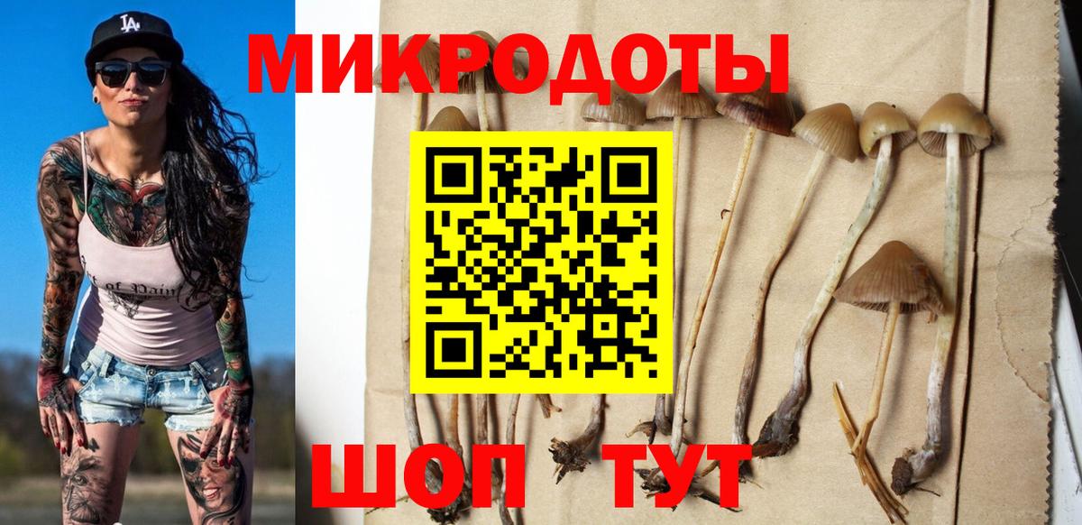 Мценск  Галлюциногенные грибы Psilocybe  Галлюциногенные грибы мицелий  Вход с VPN 